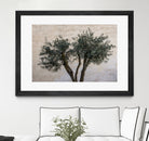 Olive Trees by Photolovers on GIANT ART - landscape plant
