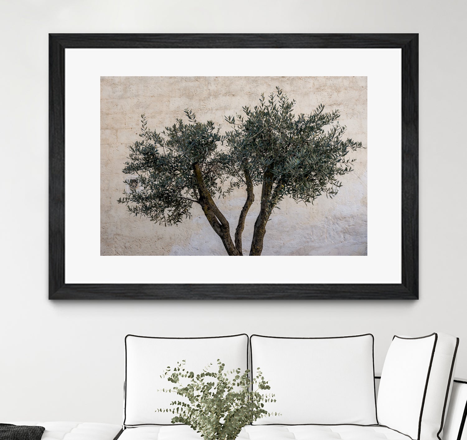 Olive Trees by Photolovers on GIANT ART - landscape plant