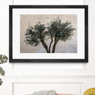 Olive Trees by Photolovers on GIANT ART - landscape plant