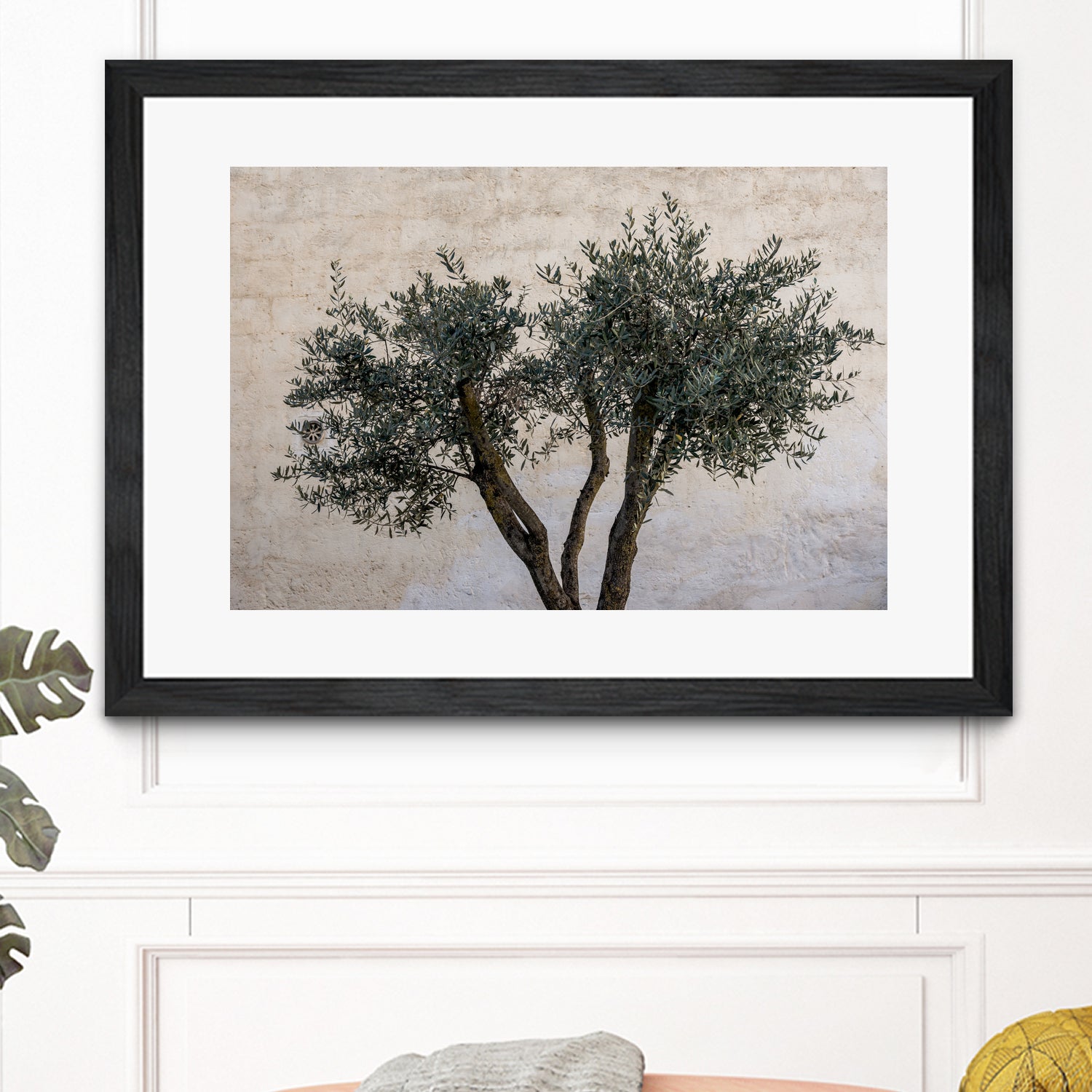 Olive Trees by Photolovers on GIANT ART - landscape plant
