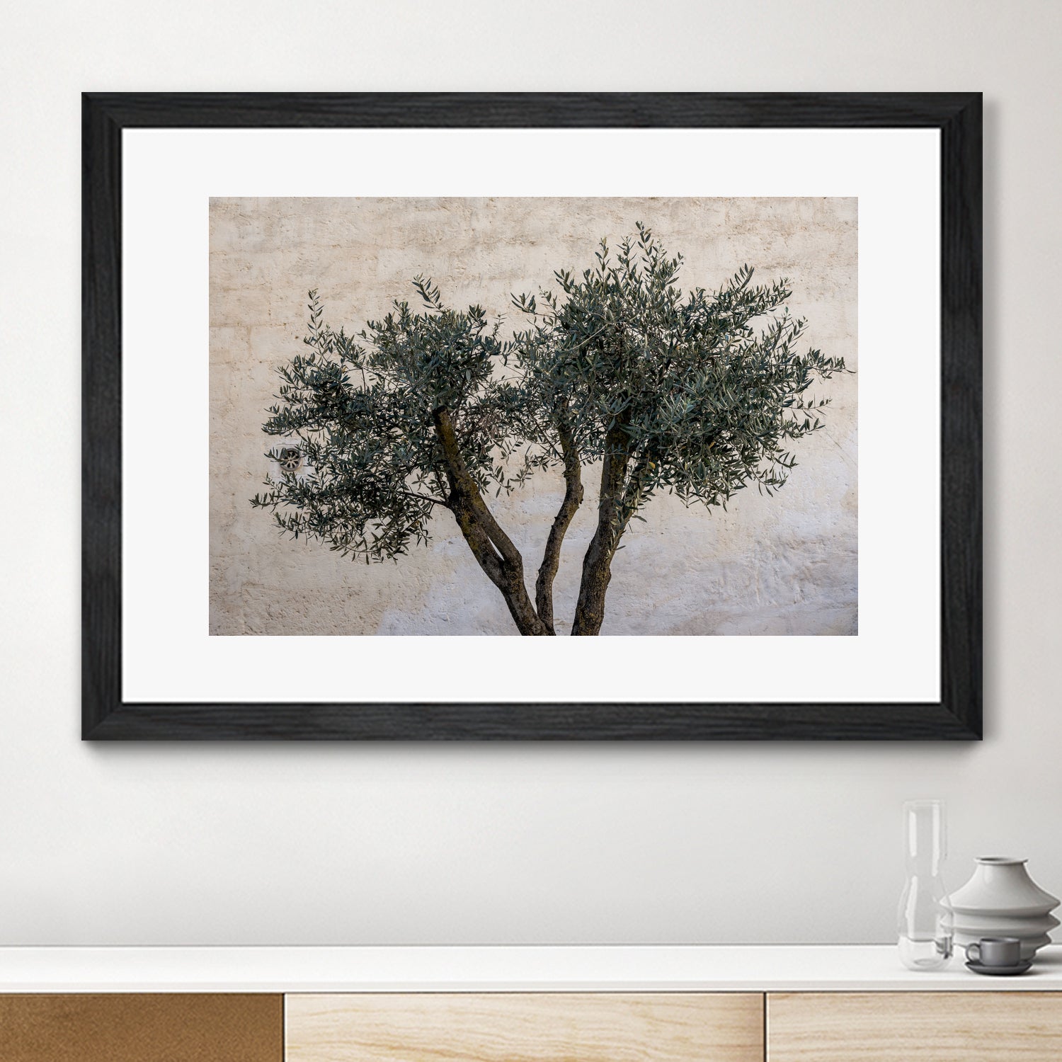 Olive Trees by Photolovers on GIANT ART - landscape plant