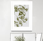 Leaves I by Maira Ribena on GIANT ART - plant flowers and plants plant