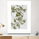 Leaves I by Maira Ribena on GIANT ART - plant flowers and plants plant