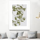 Leaves I by Maira Ribena on GIANT ART - plant flowers and plants plant