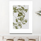 Leaves I by Maira Ribena on GIANT ART - plant flowers and plants plant