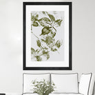 Leaves I by Maira Ribena on GIANT ART - plant flowers and plants plant