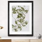 Leaves I by Maira Ribena on GIANT ART - plant flowers and plants plant