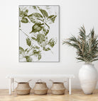 Leaves I by Maira Ribena on GIANT ART - plant flowers and plants plant