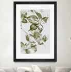 Leaves I by Maira Ribena on GIANT ART - plant flowers and plants plant