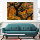 Golden Ratio by Junhao Wang on GIANT ART - orange botanical orange