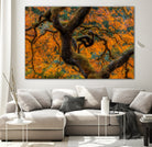 Golden Ratio by Junhao Wang on GIANT ART - orange botanical orange