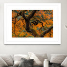 Golden Ratio by Junhao Wang on GIANT ART - orange botanical orange