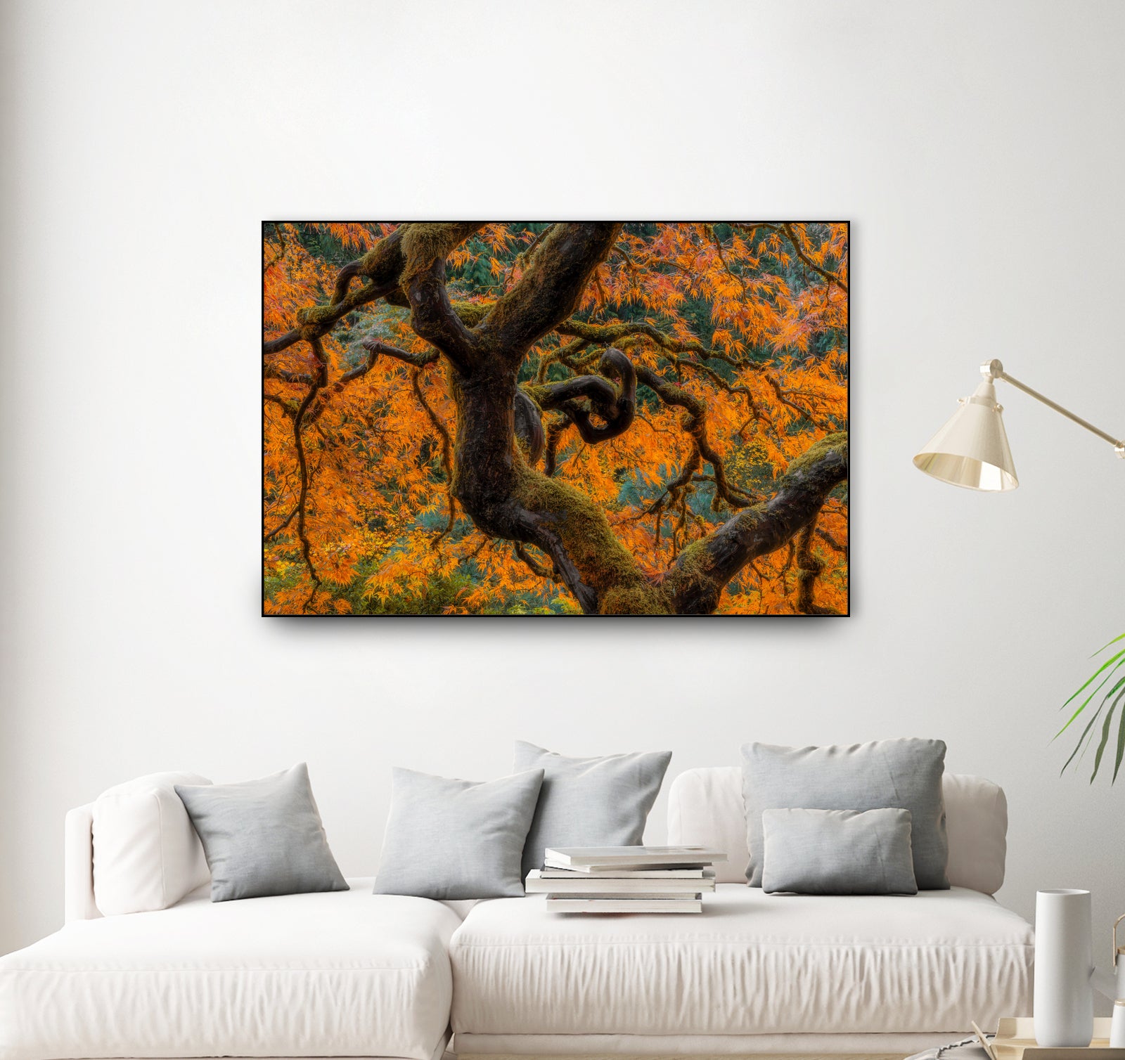 Golden Ratio by Junhao Wang on GIANT ART - orange botanical orange