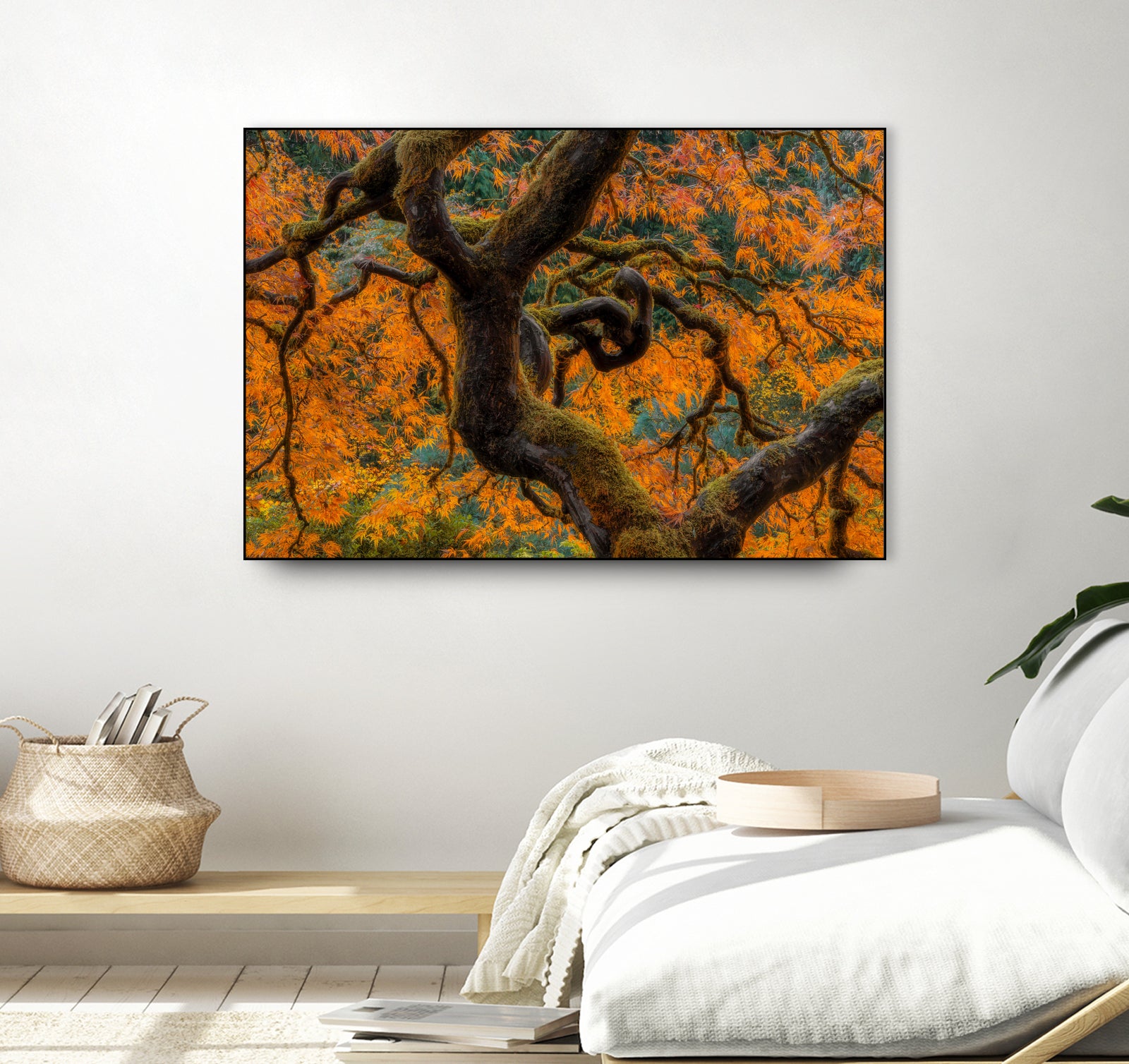 Golden Ratio by Junhao Wang on GIANT ART - orange botanical orange