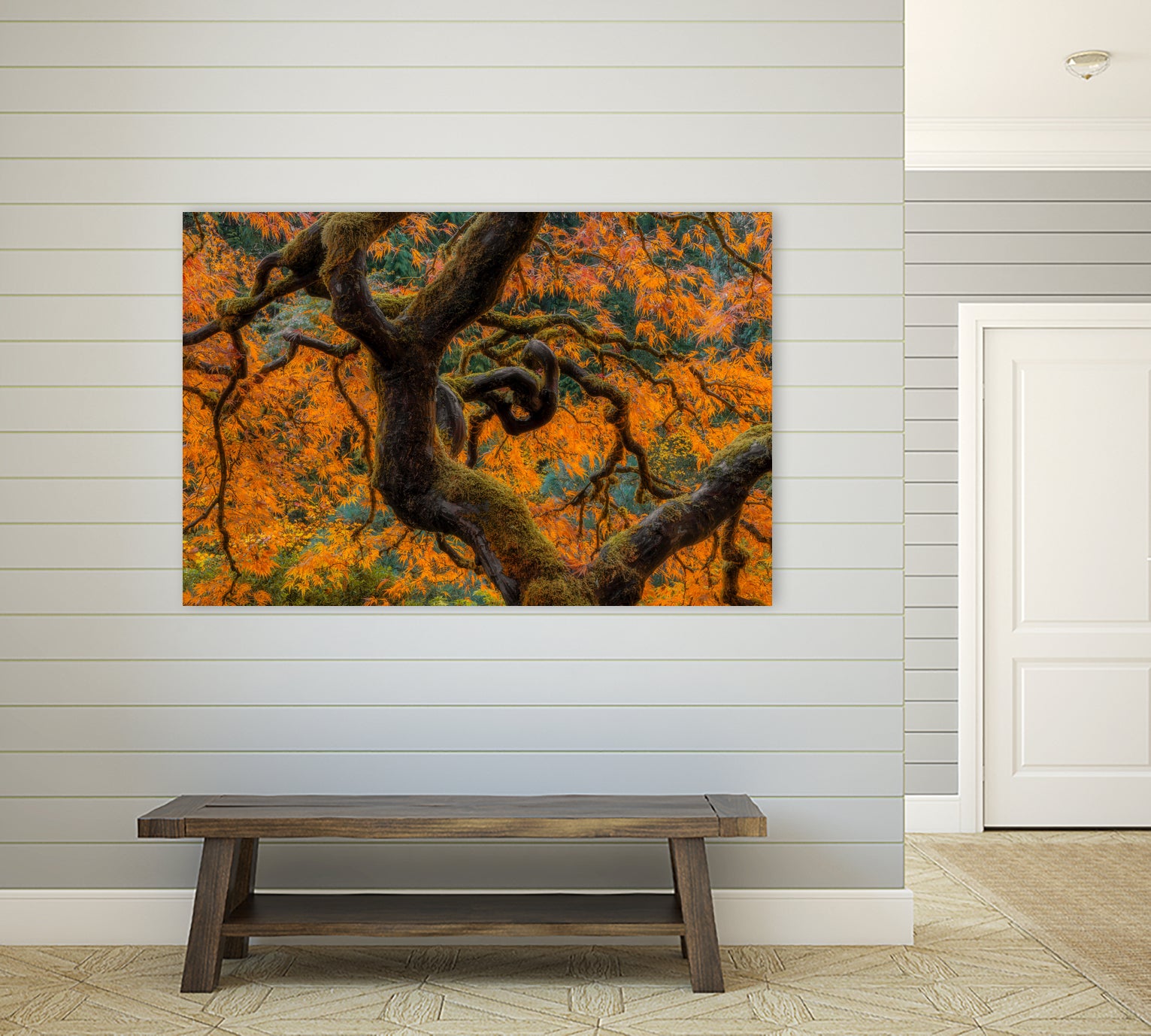 Golden Ratio by Junhao Wang on GIANT ART - orange botanical orange