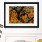 Golden Ratio by Junhao Wang on GIANT ART - orange botanical orange