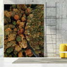 Autumn's Winding Path by Javier Pardina on GIANT ART - forest landscape  forest