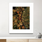 Autumn's Winding Path by Javier Pardina on GIANT ART - forest landscape  forest