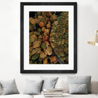 Autumn's Winding Path by Javier Pardina on GIANT ART - forest landscape  forest