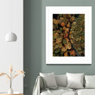 Autumn's Winding Path by Javier Pardina on GIANT ART - forest landscape  forest