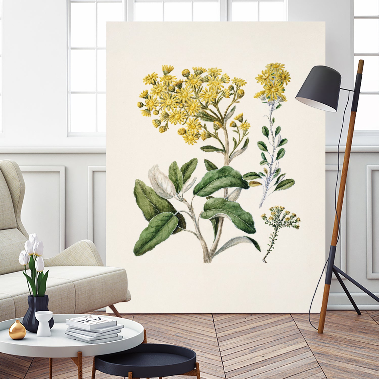 Daisy   Brachyglottis Drawn By Sarah Featon (1848a1927) by Sarah Featon on GIANT ART - vintage botanical flowers and plants vintage botanical