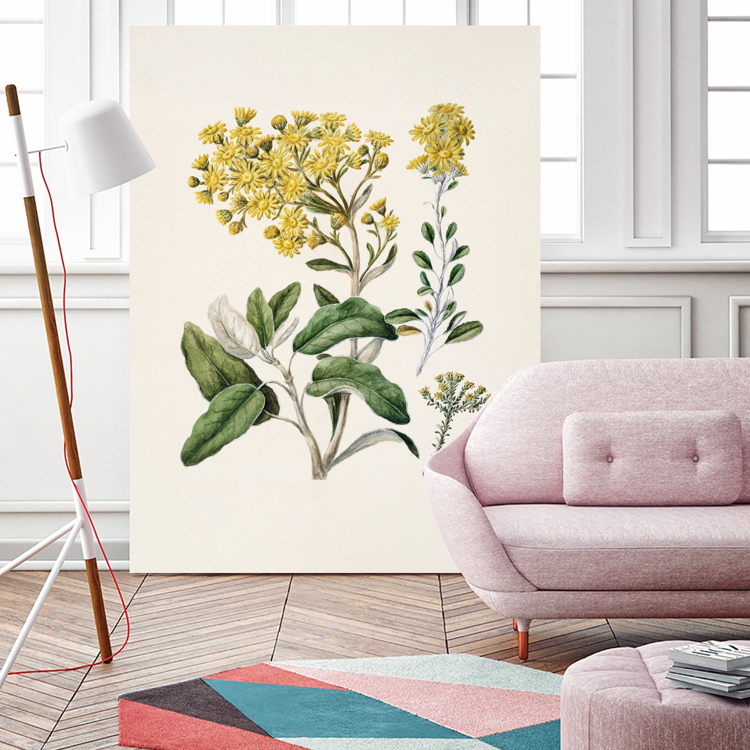 Daisy   Brachyglottis Drawn By Sarah Featon (1848a1927) by Sarah Featon on GIANT ART - vintage botanical flowers and plants vintage botanical