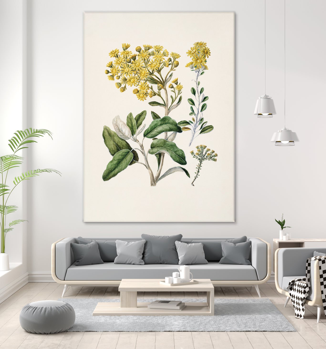 Daisy   Brachyglottis Drawn By Sarah Featon (1848a1927) by Sarah Featon on GIANT ART - vintage botanical flowers and plants vintage botanical