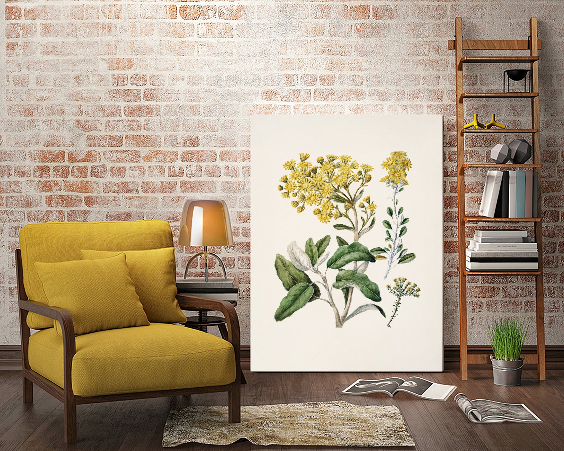 Daisy   Brachyglottis Drawn By Sarah Featon (1848a1927) by Sarah Featon on GIANT ART - vintage botanical flowers and plants vintage botanical