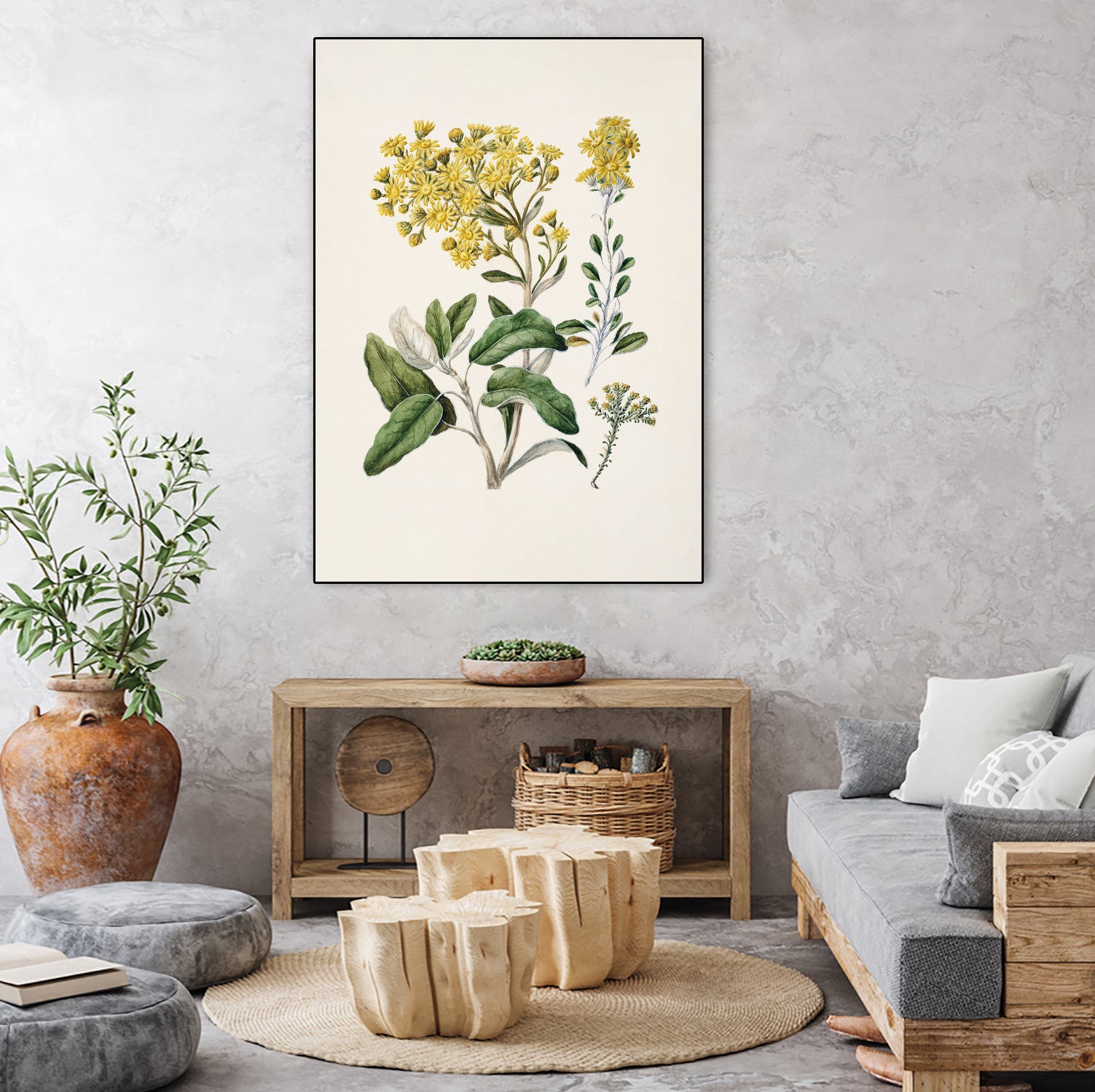 Daisy   Brachyglottis Drawn By Sarah Featon (1848a1927) by Sarah Featon on GIANT ART - vintage botanical flowers and plants vintage botanical