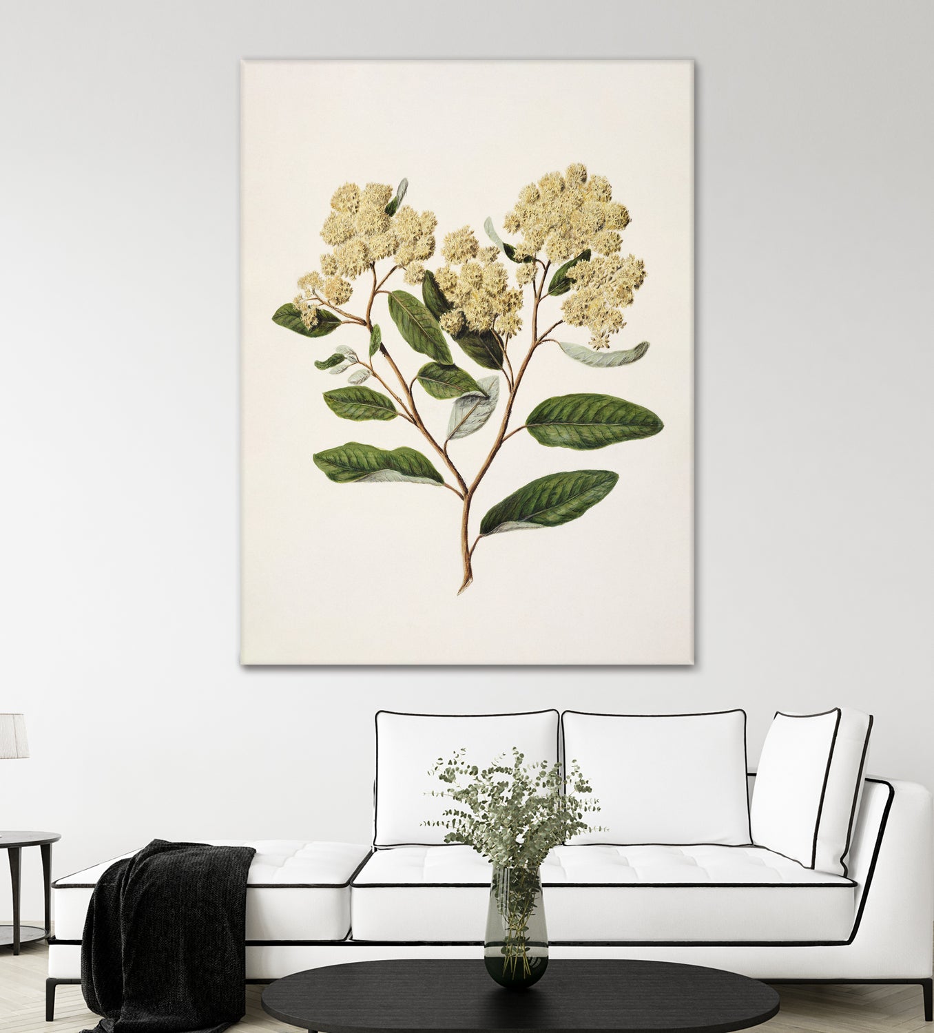 Kumarahou Drawn By Sarah Featon (1848a¬Ä¬ì1927 by Sarah Featon on GIANT ART - flowers and plants vintage botanical