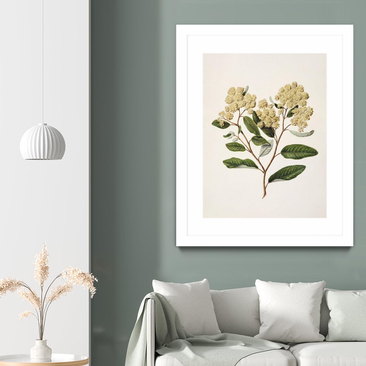 Kumarahou Drawn By Sarah Featon (1848a¬Ä¬ì1927 by Sarah Featon on GIANT ART - flowers and plants vintage botanical