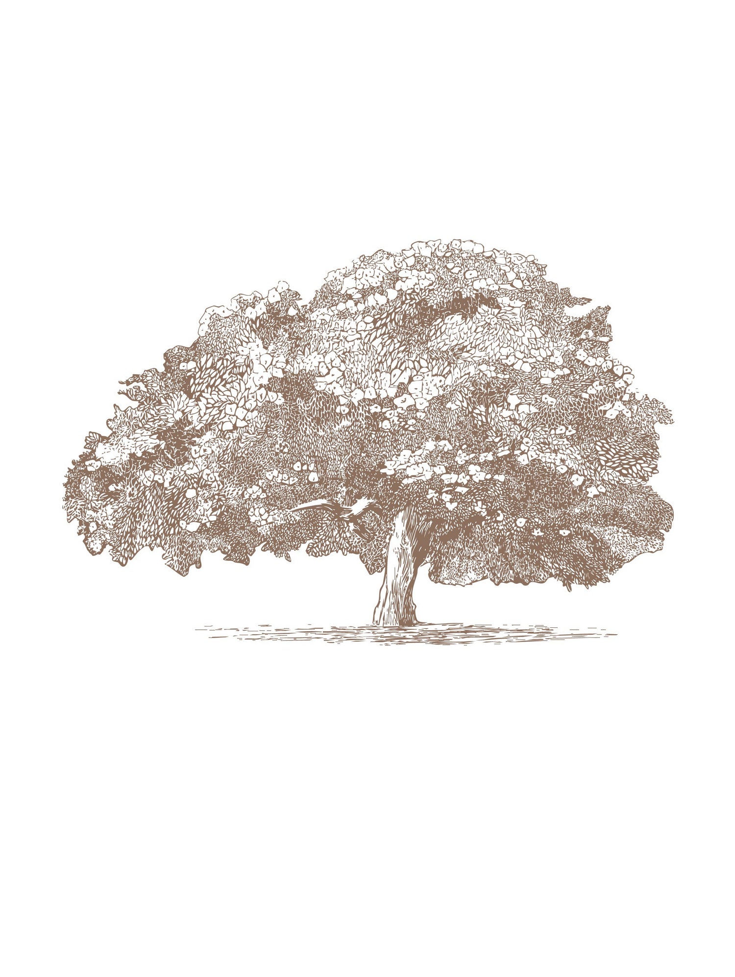 Big Tree in Brown Sepia - Art Print by Katie Oa#039;Shea | GIANT ART