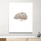 Big Tree in Brown Sepia by Katie Oa#039;Shea on GIANT ART - 2550 illustration