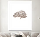 Big Tree in Brown Sepia by Katie Oa#039;Shea on GIANT ART - 2550 illustration