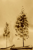 Two Trees Capturing Simplicity And Nature by Santhosh ch on GIANT ART - 14071 illustration