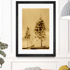 Two Trees Capturing Simplicity And Nature by Santhosh ch on GIANT ART - 14071 illustration