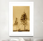 Two Trees Capturing Simplicity And Nature by Santhosh ch on GIANT ART - 14071 illustration