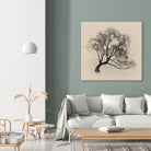 Wanaka Rain by Steven Fudge on GIANT ART - rain botanical rain