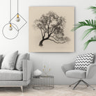 Wanaka Rain by Steven Fudge on GIANT ART - rain botanical rain