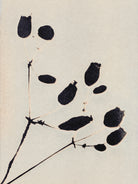 Wildflower In Bloom by Alisa Galitsyna on GIANT ART - monochrome  monochrome