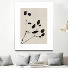 Wildflower In Bloom by Alisa Galitsyna on GIANT ART - monochrome  monochrome