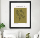Botanical Elegance by Treechild on GIANT ART -  botanical art