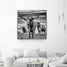 le trio by Stephane Pecqueux on GIANT ART - trois animal trois