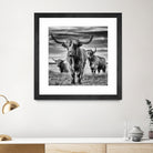 le trio by Stephane Pecqueux on GIANT ART - trois animal trois