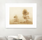 Misty Meadow by Dan Hobday on GIANT ART -  outdoor