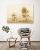 Misty Meadow by Dan Hobday on GIANT ART -  outdoor