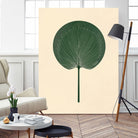 Green Palm Leaf by Annika Persson on GIANT ART - flowers and plants botanical art