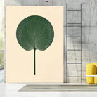 Green Palm Leaf by Annika Persson on GIANT ART - flowers and plants botanical art