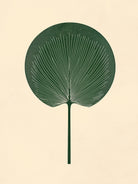 Green Palm Leaf by Annika Persson on GIANT ART - flowers and plants botanical art