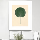 Green Palm Leaf by Annika Persson on GIANT ART - flowers and plants botanical art